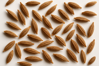 Cumin Seed