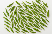 Green Tea Leaves (Ceylon / premium green tea)