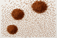 Organic Rooibos Leaves (Aspalathus linearis)