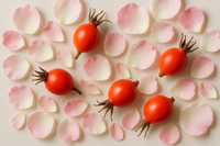 Rosehip / Rosehip Petals