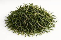 Young Hyson Green Tea Leaves (Camellia sinensis) 